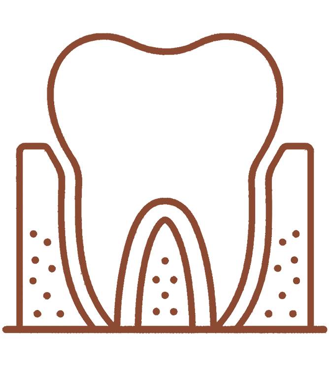 Periodontia